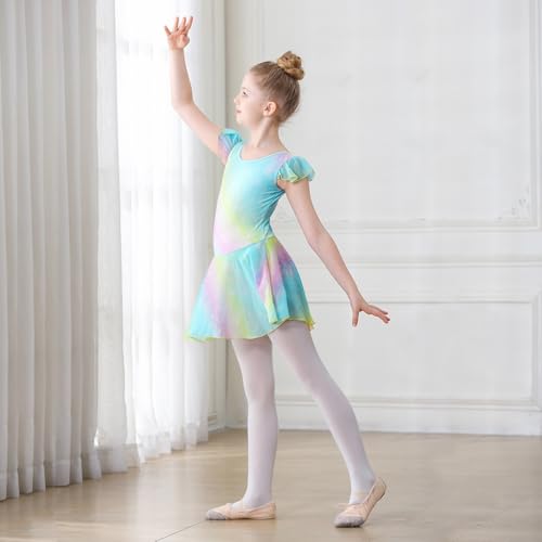 Girls Shiny Ballet Leotard Dress with Ruffle Sleeves - 4-6 Years Rainbow