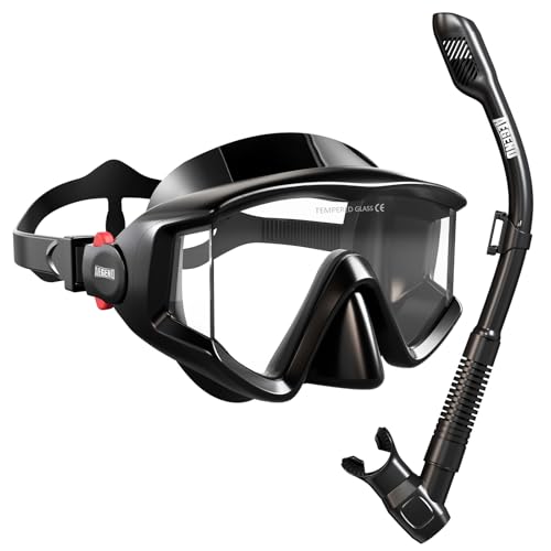 Snorkeling Gear Set for Adults - Dry Top Snorkel & Mask - Carbon Black