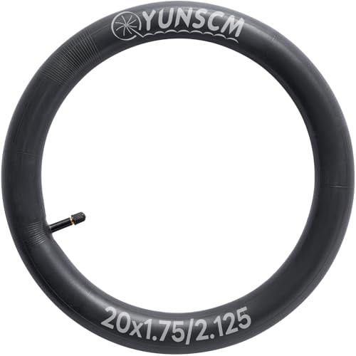 20-Inch Premium Butyl Bike Tube - 1 Tube, Schrader Valve