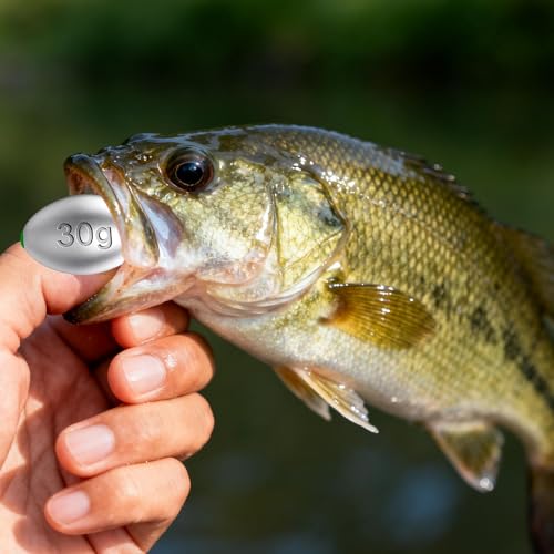 30g Egg Lead Fishing Weights - Oval Shape, 10pcs Assorted Sizes