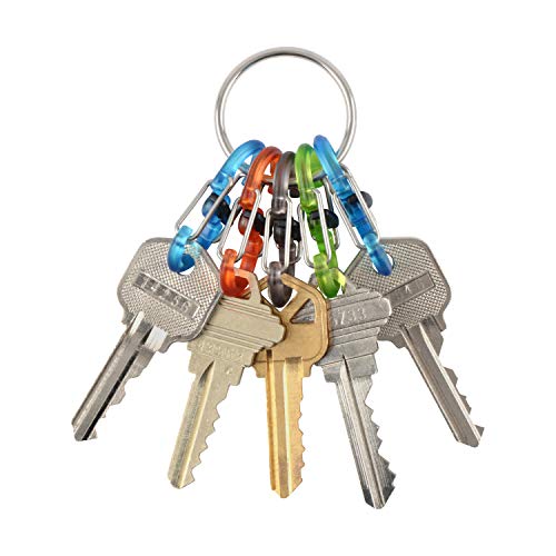 Stainless Steel Keychain with 5 Colorful S-Biner MicroLocks