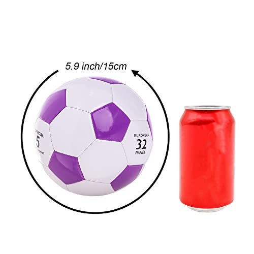 Size 2 Purple Soccer Ball with Pump - Indoor & Outdoor Training