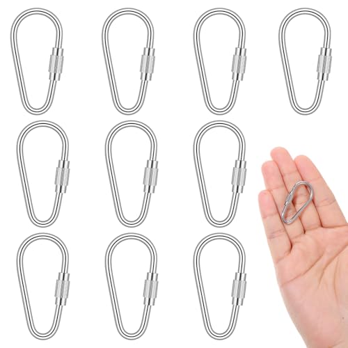 10 Pack Small Locking Carabiner Clips - Stainless Steel for Keys & Camping