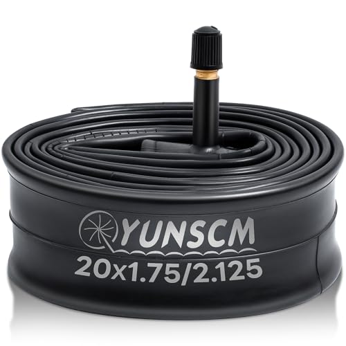 20-Inch Premium Butyl Bike Tube - 1 Tube, Schrader Valve