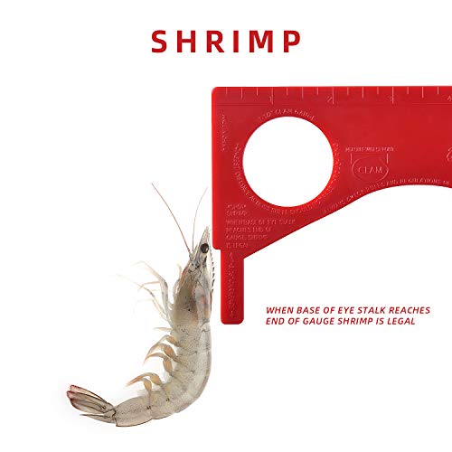 Crab & Shellfish Measuring Gauge Tool - Red Rock & Dungeness - RD-1