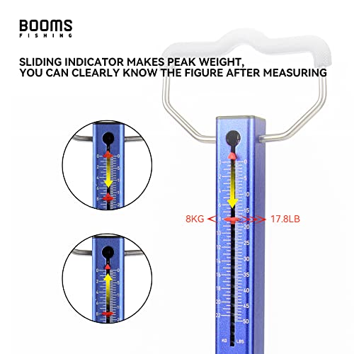 Booms Fishing TS2 Aluminum Spring Fish Scale 50 lbs, Easy Read Luggage & Tackle Weighing Tool