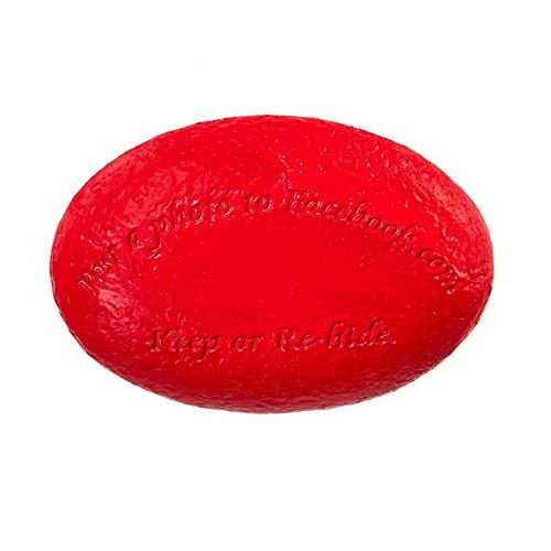 NCAA Team Logo Garden Rock - Outdoor Sports Decor