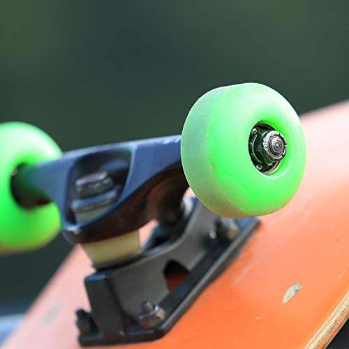 Hotop 56 Pcs Skateboard Truck Hardware Kit with Nuts, Spacers & Speed Rings