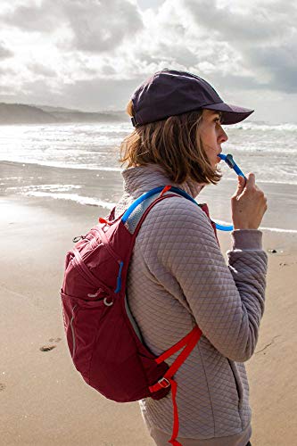 Big Bite Replacement Hydration Pack Valve - Blue