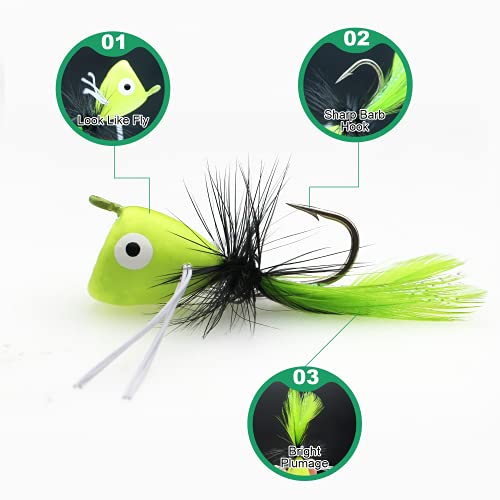 Fly Fishing Poppers - 10PCS Topwater Lures for Trout, Bass & Panfish