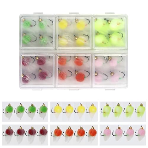 KJEIM 24pcs Fly Fishing Flies Kit for Salmon, Trout & Steelhead with Brass Beadhead Glo Bug Eggs