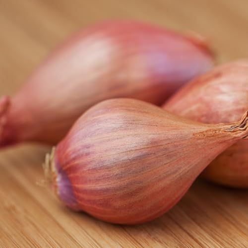 Freeze-Dried Shallots - 0.9 Ounce Shaker Jar