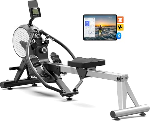 Dual Scull Rowing Machine - Wind & Magnetic Resistance, 14 Levels, Grayish-White
