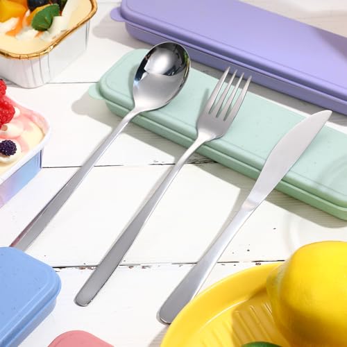 Stainless Steel Travel Silverware Set with Case - Purple