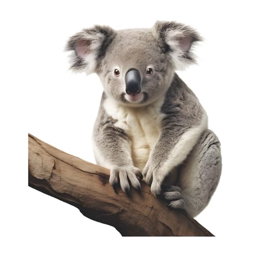 Cute Koala Wall Decal 3D Koala Wall Sticker Removable Peel & Stick Animal Wall Art Decor Stickers for Kids Baby Classroom Living Room Nursery