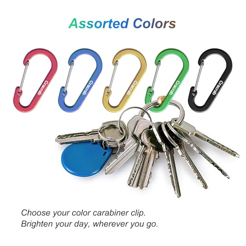 Carabiner Clip Variety Pack - Small, Medium, Large - 12 Colors