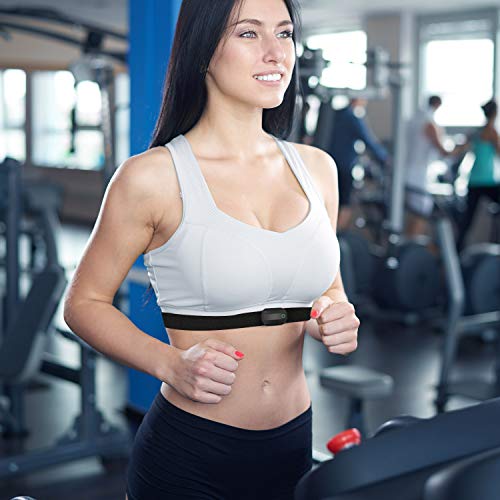 Replacement Heart Rate Monitor Chest Strap - Black / 36 Inch