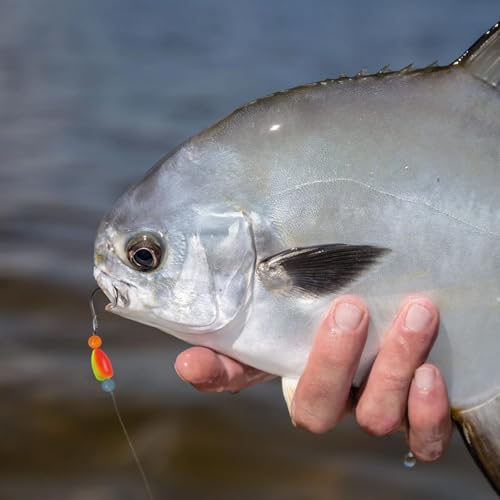 Pompano Rigs for Surf Fishing - Pre-Rigged with Floats & Hooks - 5 Colors, 5pcs