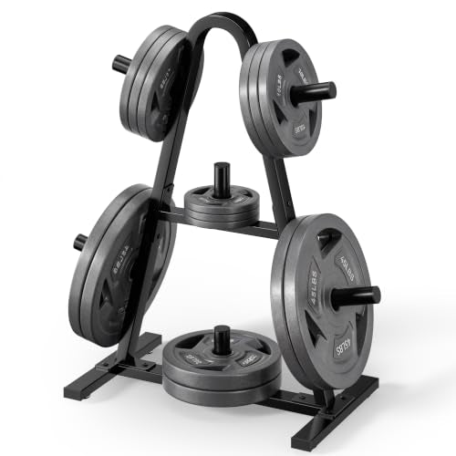 Olympic Weight Plate Rack - 400 LB Capacity A-Frame Storage