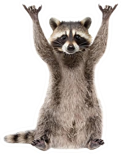 Raccoon Sticker - Funny Vinyl Decal 5 Inches - Waterproof for Car, Laptop, Wall