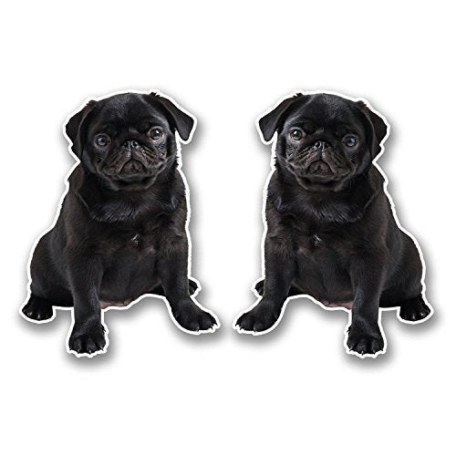 2 x Black Pug Vinyl Stickers