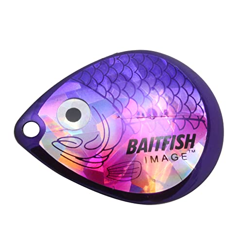 Baitfish Image Blades for Fishing - Cisco Purple Size 4 (3 Count)