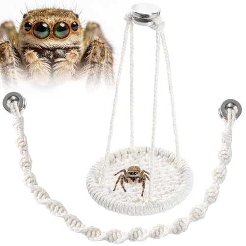 Jumping Spider Swing and Climbing Rope - 2 Piece Set