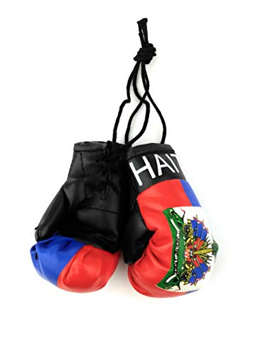 Mini Hanging Boxing Gloves for Car Mirror - Haiti