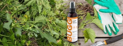 Buggins 25% DEET Insect Repellent Spray - 1 Count, Fresh Clean Scent