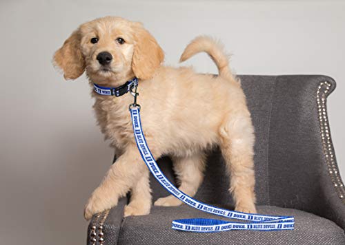 Medium NCAA Dog Leash - Duke Blue Devils, Durable Nylon