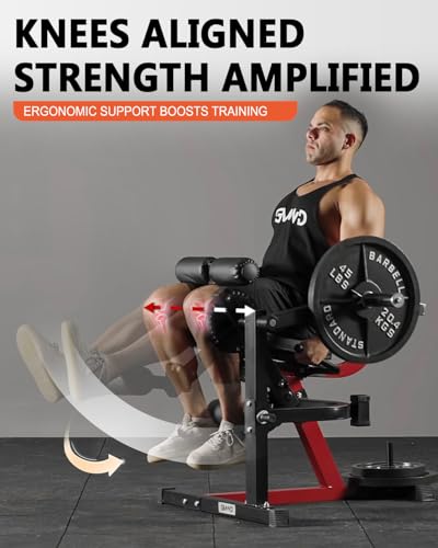 Leg Extension and Curl Machine - Adjustable Lower Body Bench - Red LE02