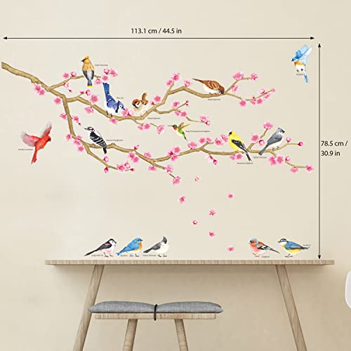 DECOWALL WL2-2009 Garden Birds and Cherry Blossom Wall Stickers Wall Decals Peel and Stick Removable Wall Stickers for Kids Nursery Bedroom Living Room d?cor