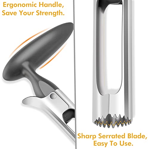 Apple Corer Tool - Ultra-Sharp Stainless Steel - Gray