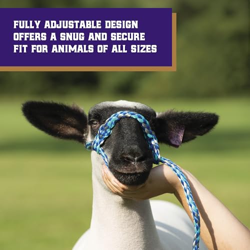 Adjustable Braided Poly Rope Sheep & Goat Halter with Lead - Hot Pink/Coral/Mint