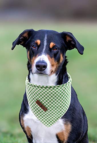 Dog Bandana for Small Dogs - Green & White Grid Triangle Scarf