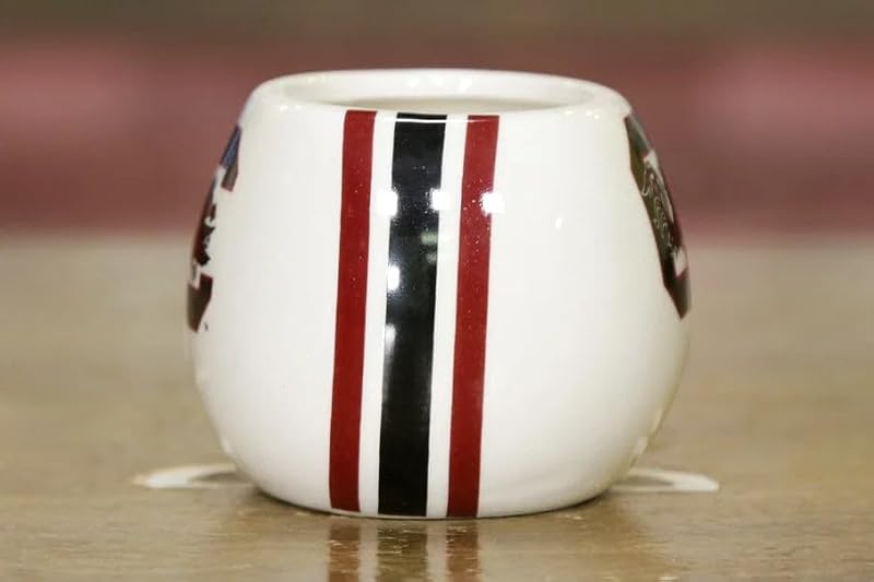 South Carolina Gamecocks Ceramic Helmet Caddy Planter