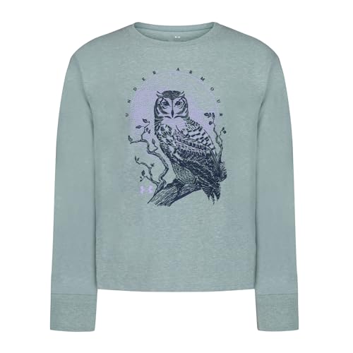 Under Armour Kids MTN Range Logo Tee Big Kid Large Serpentine Owl