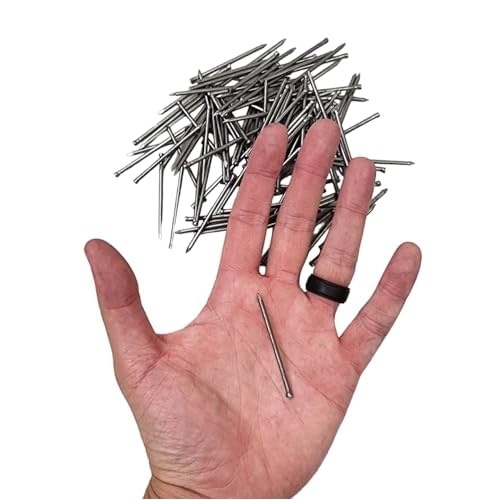 2" Inch Premium Quality Polished Finishing Nails Hand-Drive Hardware Carbon Steel Nail for Picture Hanging, Wood, Frame, Plaster and Concrete Wall - DIY (200)