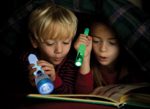 LED Glow Stick & Flashlight with Whistle & Lanyard - Assorted Color