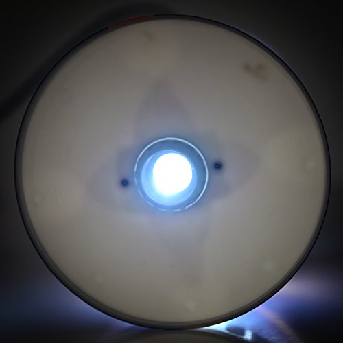 Michigan State Spartans Desk Lamp - Team Logo Projection