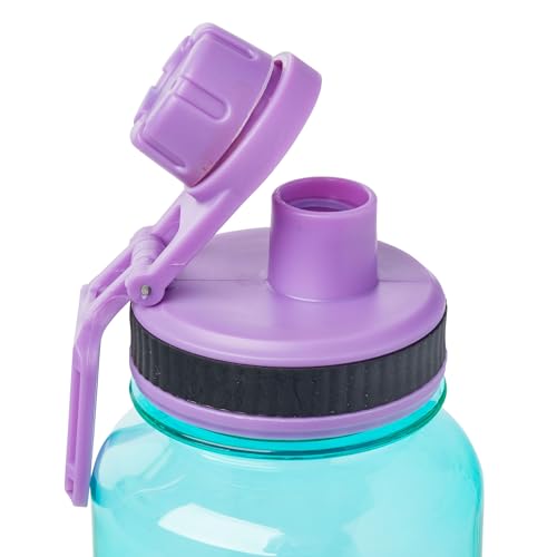 32oz Disney Lilo and Stitch Pineapple Water Bottle - Blue