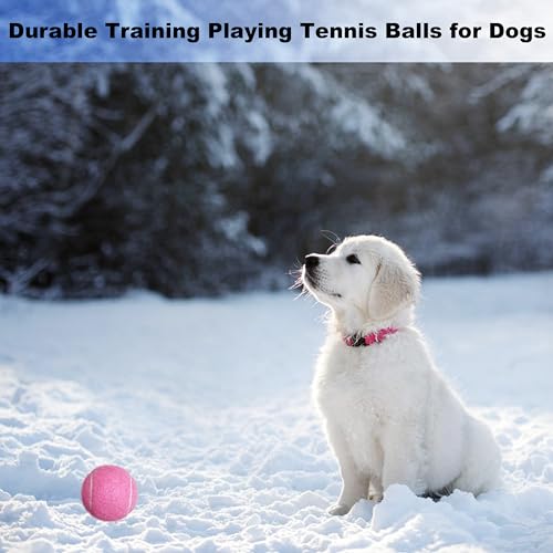 High Visibility Tennis Balls - 3 Pack for Training & Dog Play - Pink