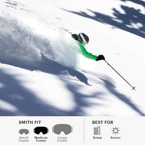 Smith Daredevil Youth Ski & Snowboard Goggles Black, One Size RC36 - Impact-Resistant Lenses