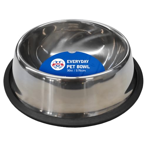 Large Iowa State Cyclones Pet Bowl - Durable Stainless Steel