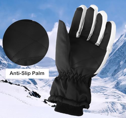 Thermal Winter Ski Gloves - Windproof Touchscreen Snowboard Gloves - Black