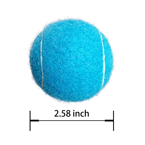 High Visibility Tennis Balls 4 Pack - Advanced Training Balls for Dogs - Blue