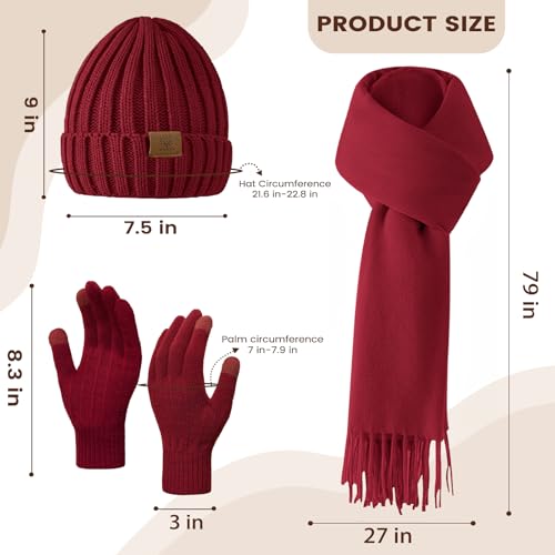 Winter Beanie Hat Scarf Gloves Set for Women - Black