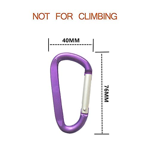 Durable 3" Aluminum D-Shaped Carabiner Keychain - 2pcs Purple
