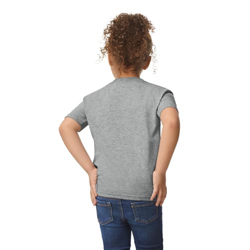 Toddler T-Shirt 2-Pack - 100% Cotton, G5100P, 4T Sport Grey