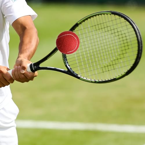Tennis Balls - 4 Pack Long Lasting Practice Balls for Beginners & Dogs - Red